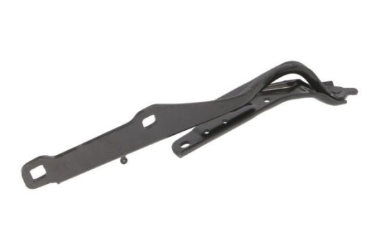 Hinge, hood, Image 3