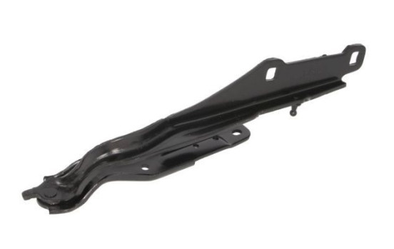 Hinge, hood, Image 4