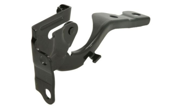 Hinge, hood, Image 2