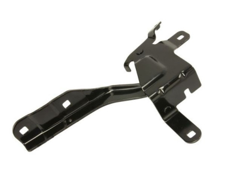 Hinge, hood, Image 2