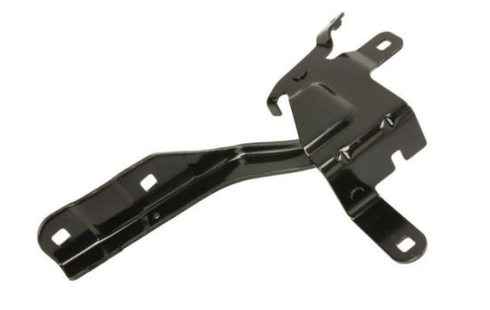 Hinge, hood, Image 2