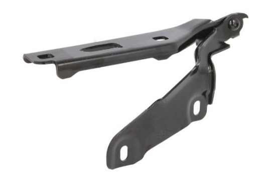 Hinge, hood, Image 2