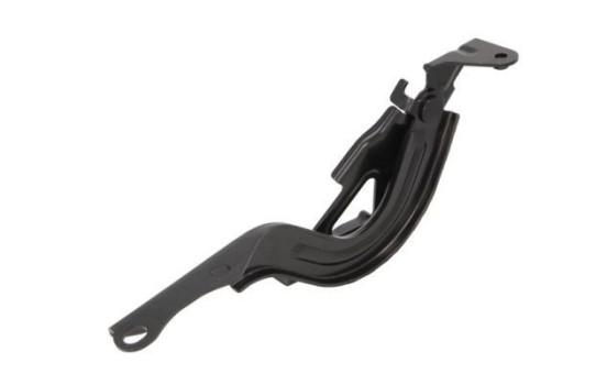 Hinge, hood, Image 2