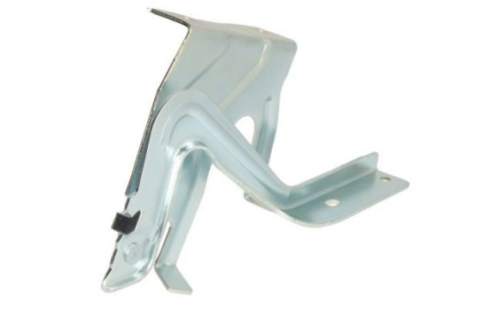 Hinge, hood, Image 2