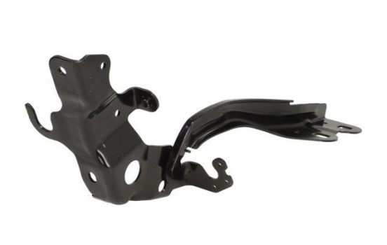 Hinge, hood, Image 2