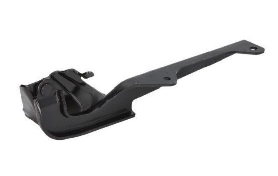 Hinge, hood, Image 2