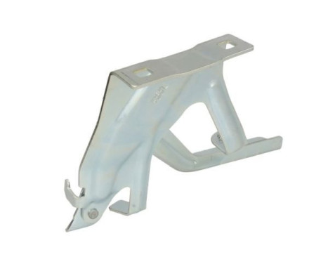 Hinge, hood, Image 2