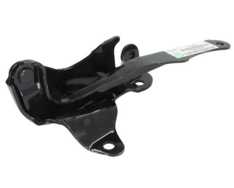 Hinge, hood, Image 2