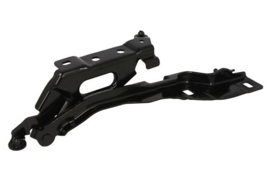 Hinge, hood, Image 2
