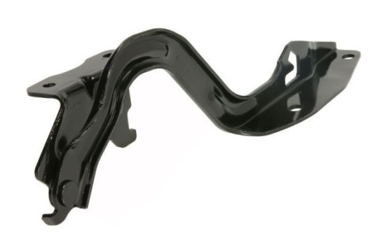 Hinge, hood, Image 2