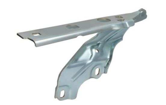 Hinge, hood, Image 2