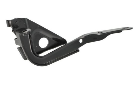 Hinge, hood, Image 2