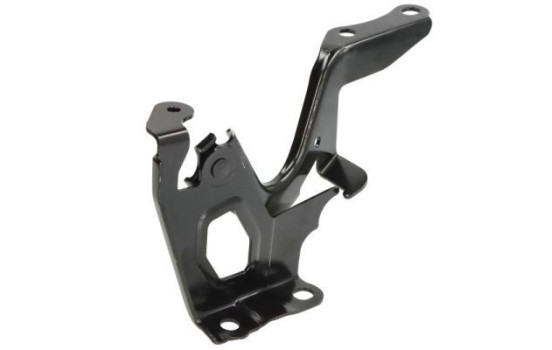 Hinge, hood, Image 2