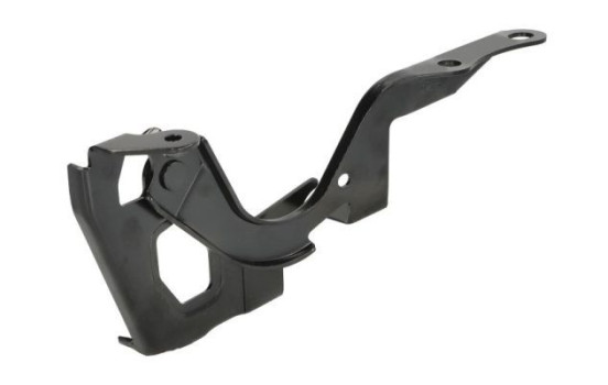 Hinge, hood, Image 2