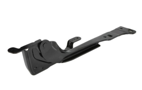 Hinge, hood, Image 2