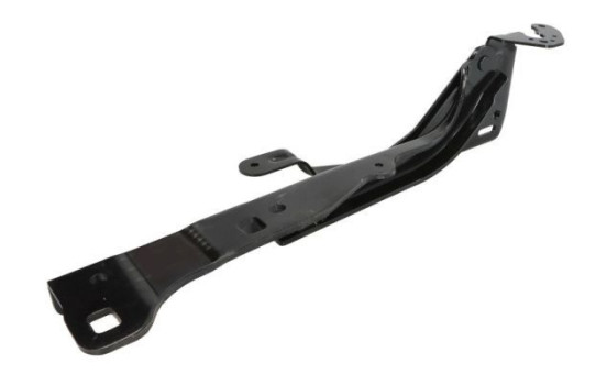 Hinge, hood, Image 2