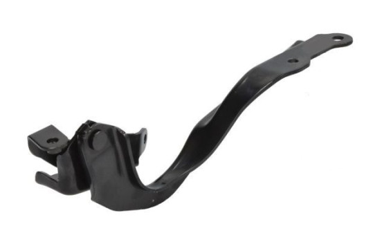 Hinge, hood, Image 2