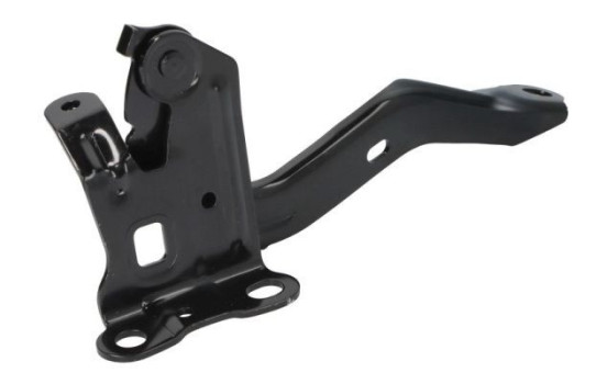 Hinge, hood, Image 2