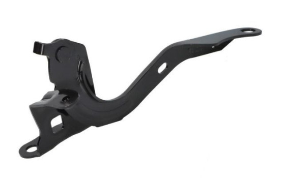 Hinge, hood, Image 2