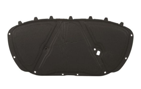 Engine compartment insulation