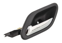Door Handle, interior