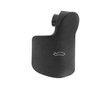 Handle, engine compartment control