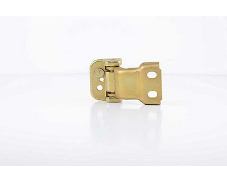 Roller guide, sliding door