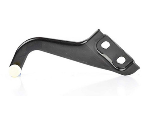 Roller guide, sliding door