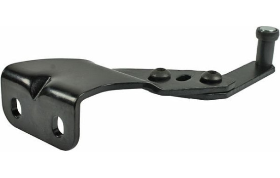 Roller guide, sliding door