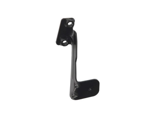 Holder, bumper