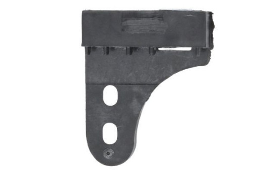 Holder, bumper