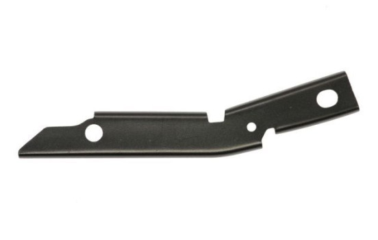 Holder, bumper
