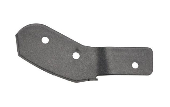 Holder, bumper