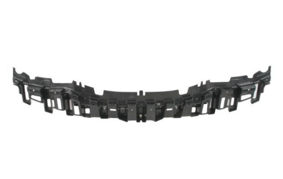 Holder, bumper