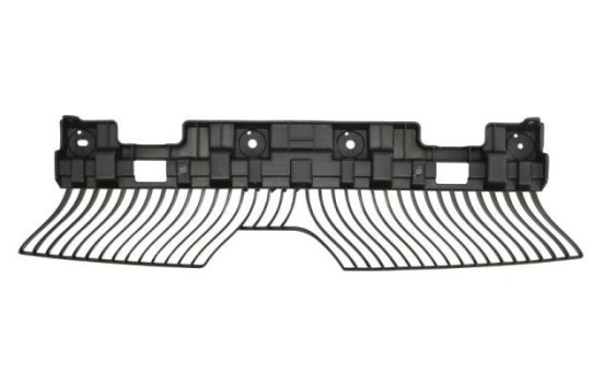 Holder, bumper