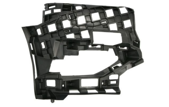 Holder, bumper