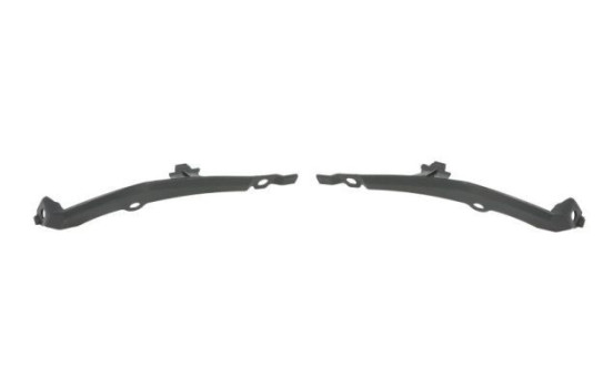 Holder, bumper