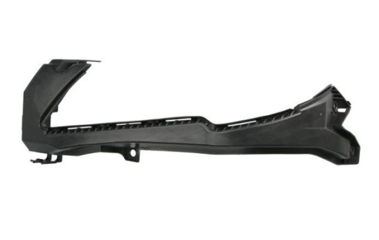 Holder, bumper
