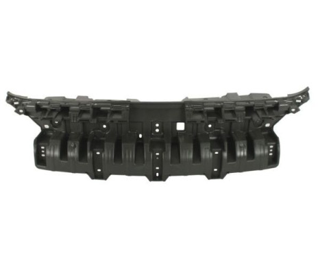 Holder, bumper