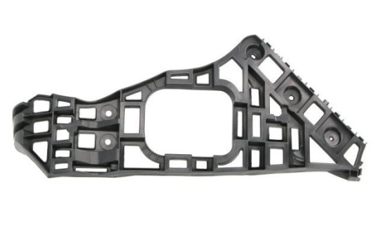 Holder, bumper