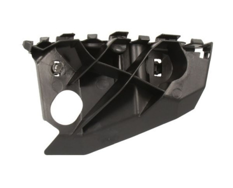 Holder, bumper