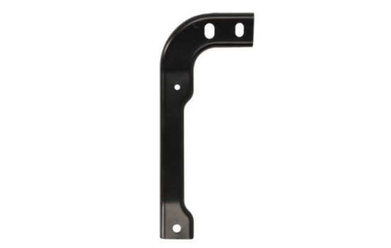 Holder, bumper