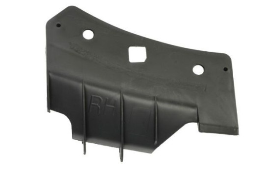 Holder, bumper