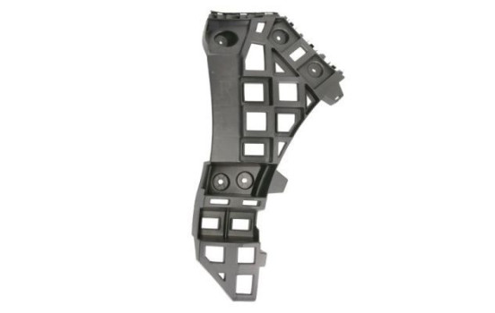 Holder, bumper