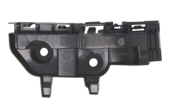 Holder, bumper