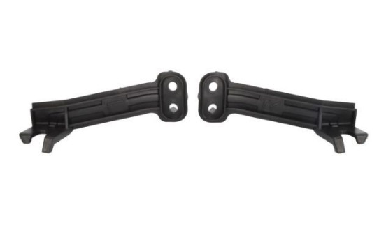 Holder, bumper