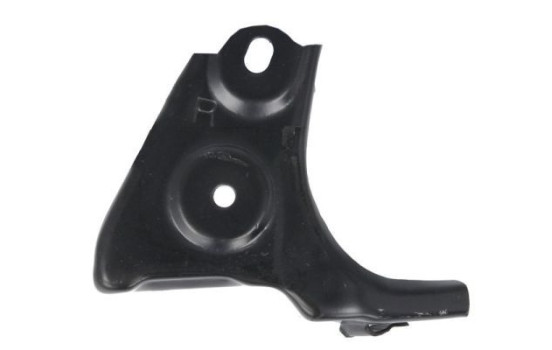 Holder, bumper