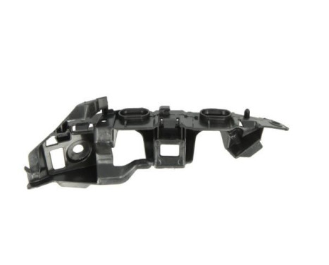 Holder, bumper