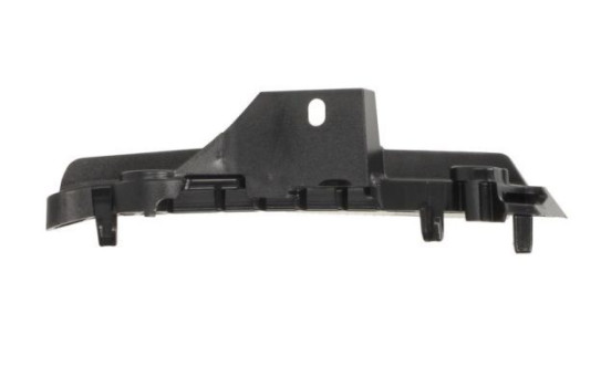 Holder, bumper