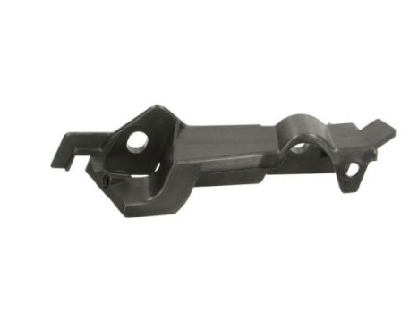 Holder, bumper